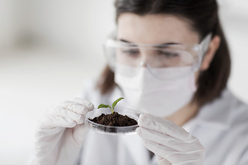 Image showing close up of scientist with plant and soil in lab