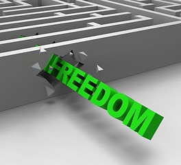 Image showing Freedom From Maze Shows Liberty