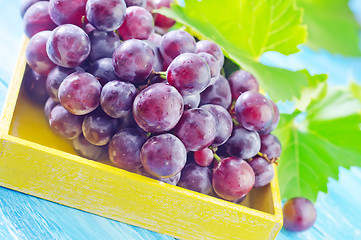 Image showing grape