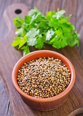 Image showing coriander