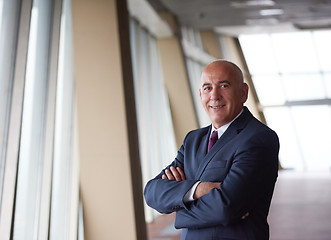 Image showing senior business man portrait