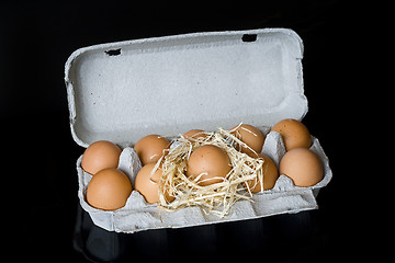 Image showing Eggs