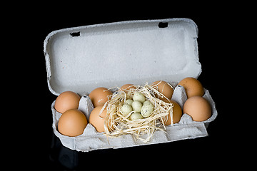 Image showing Eggs