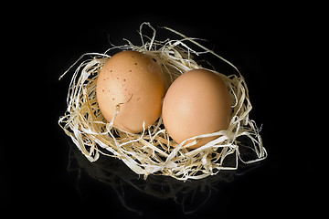 Image showing Eggs