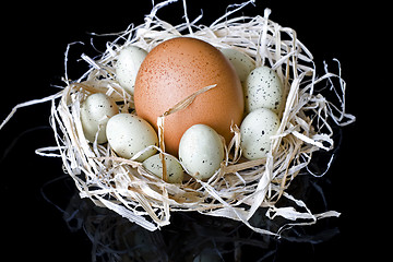 Image showing Eggs