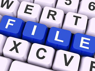 Image showing File Keys Show Files Or Data Filing\r