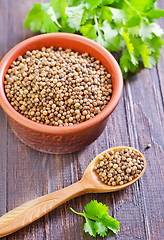 Image showing coriander