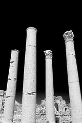 Image showing column in old  temple and theatre in ephesus   antalya turkey as