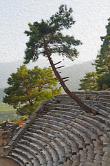 Image showing  ruins stone and theatre in  antalya  arykanda turkey asia sky a