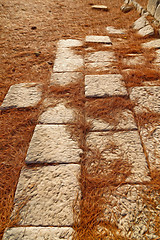 Image showing pine needles    ruins stone and theatre in  antalya  arykanda tu