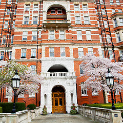 Image showing tree  window in europe london  red brick wall     and      histo