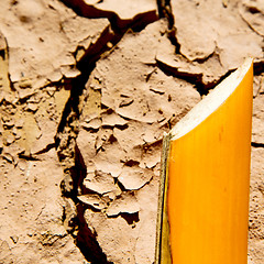Image showing cracked sand in morocco africa desert abstract macro bark