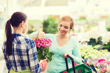 Image showing happy women choosing flowers in greenhouse