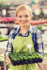 Image showing happy woman holding seedling in greenhouse