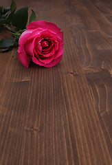 Image showing rose on wood background