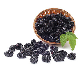 Image showing Fresh blackberry with leaf in basket