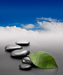 Image showing stones with green leaf