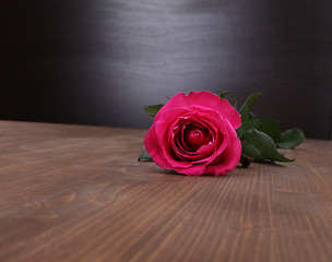 Image showing rose on wood background