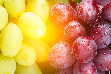 Image showing fresh green and rose grapes