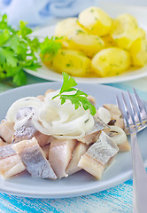 Image showing herring with onion on blue plate