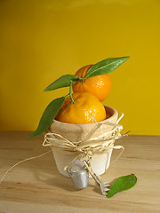 Image showing Tangerine