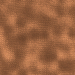 Image showing lizard skin