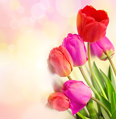 Image showing bouquet of tulips