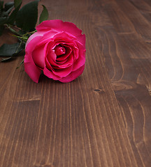 Image showing rose on wood background