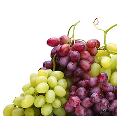 Image showing fresh green and rose grapes