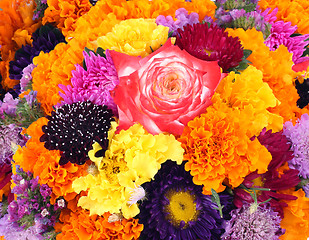 Image showing flowers background