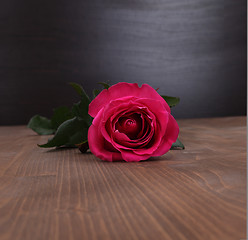 Image showing rose on wood background