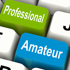 Image showing Professional Amateur Keys Show Beginner And Experienced