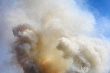 Image showing abstract smoke background