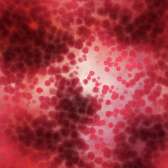 Image showing blood cells