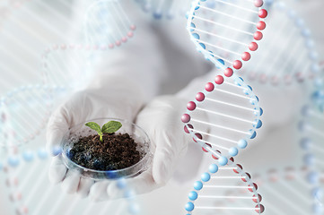 Image showing close up of scientist hands with plant and soil