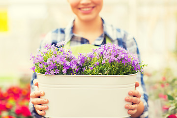 Image showing close up of happy woman holding flowers in pot