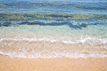 Image showing tide foam and froth in the  