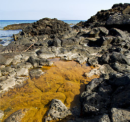 Image showing in lanzarote coastline  froth  spain pond  rock stone  