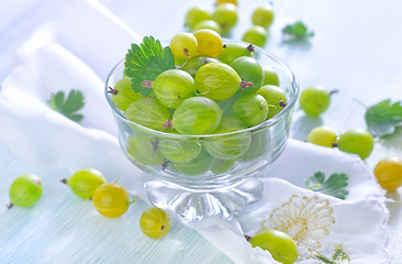 Image showing gooseberry