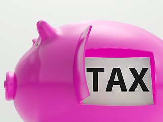 Image showing Tax In Piggy Shows Taxation Savings Taxpayer