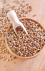 Image showing coriander