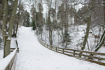 Image showing winter spruce forest and snow cowered field