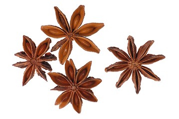 Image showing Star Anise