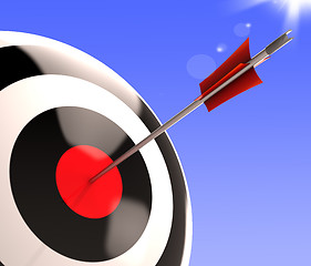 Image showing Bulls eye Target Shows Excellence And Skill