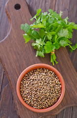 Image showing coriander