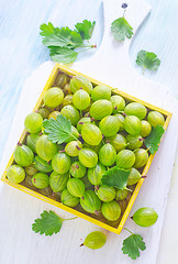 Image showing gooseberry