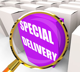 Image showing Special Delivery Packet Shows Secure and Important Shipping