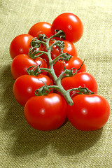Image showing red cherry tomatoes on the vine