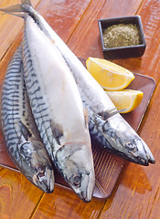 Image showing raw fish