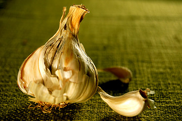 Image showing Garlic